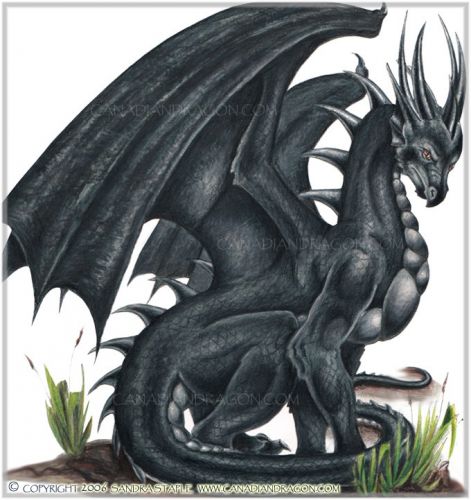 1228081492_black-dragon.jpg