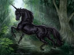 black_unicorn.jpeg