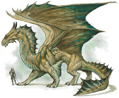 dragon-1874.jpg