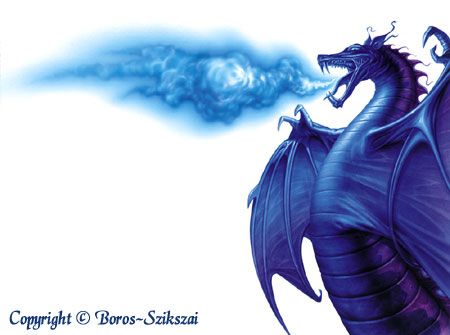 dragon05.jpg