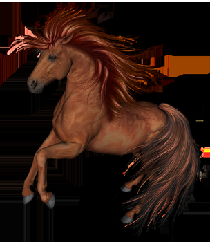 horse_png.png